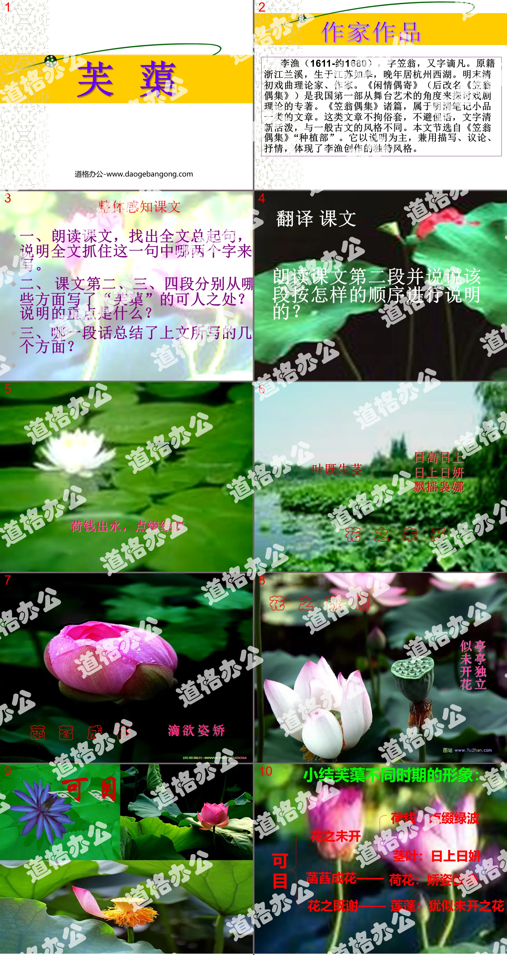 《芙蕖》PPT课件2
