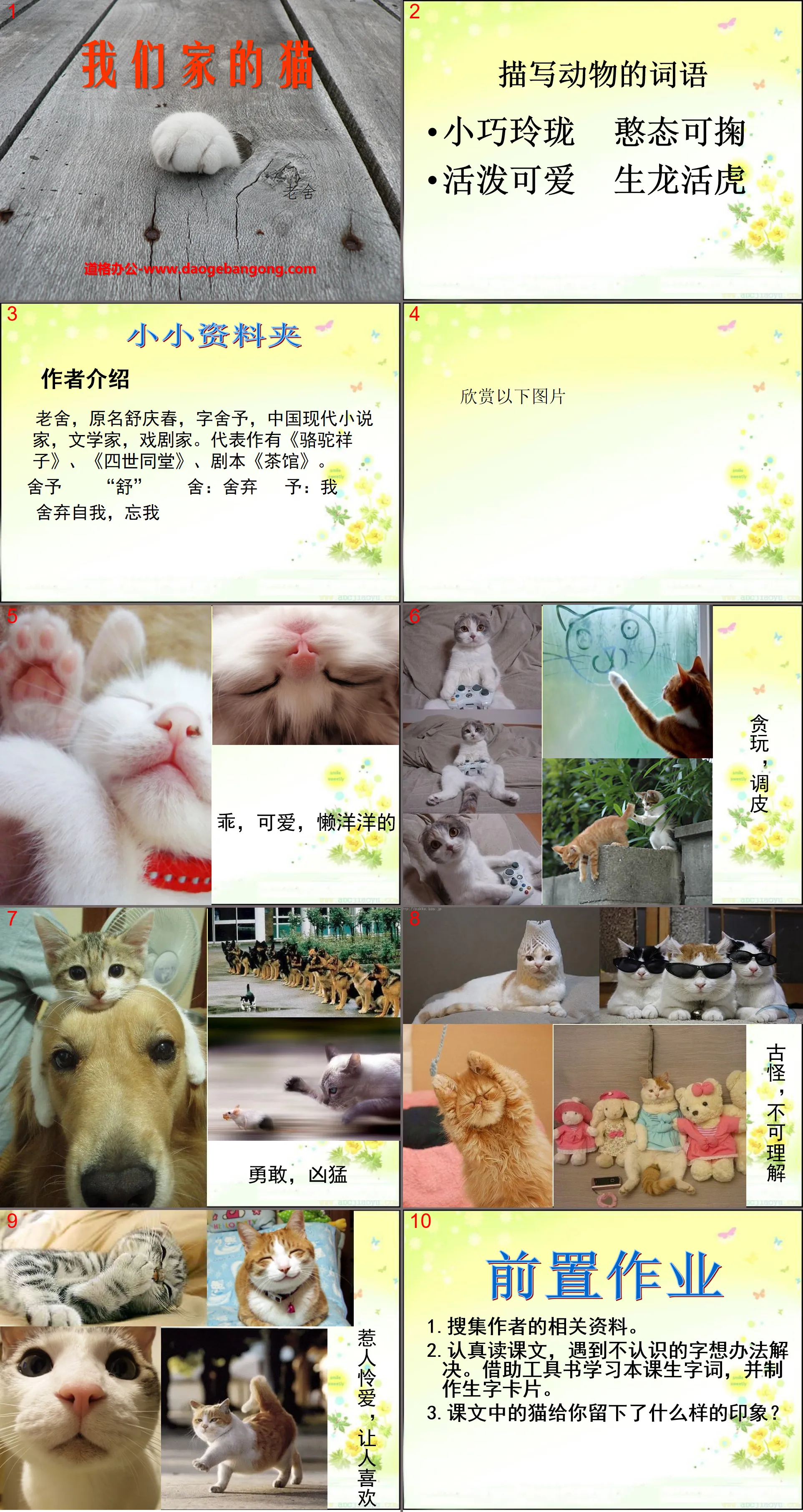 "Our Cat" PPT Courseware 4