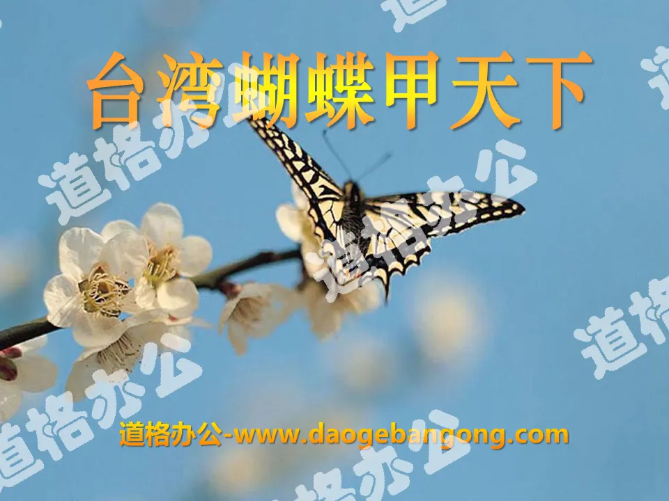 "Taiwan Butterfly is the Best in the World" PPT Courseware 2