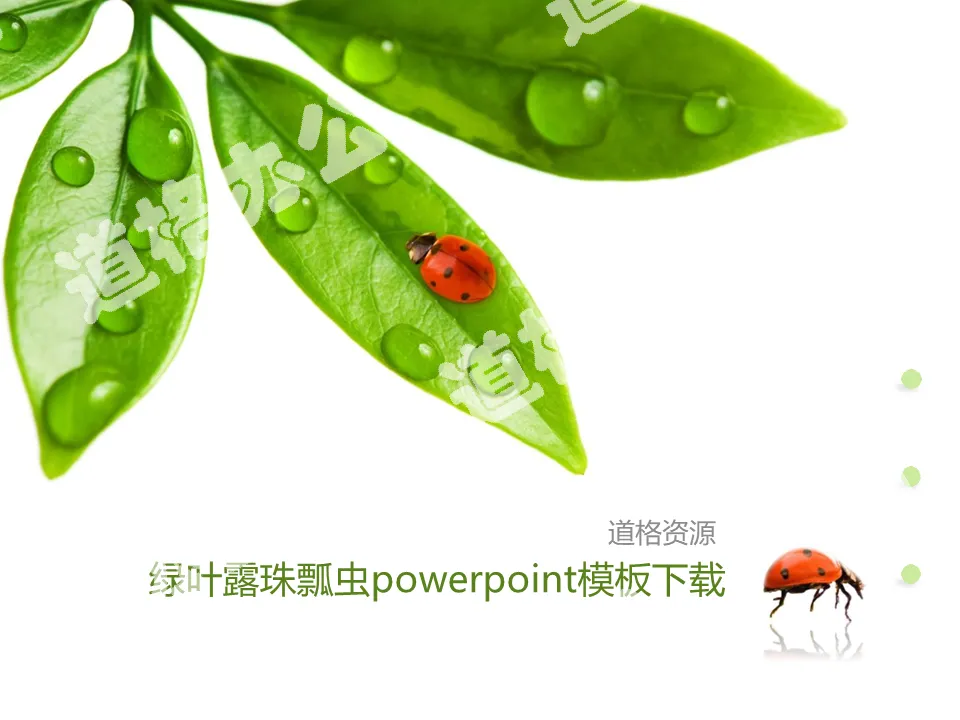Fresh green leaf dewdrop seven-star ladybug background PPT template