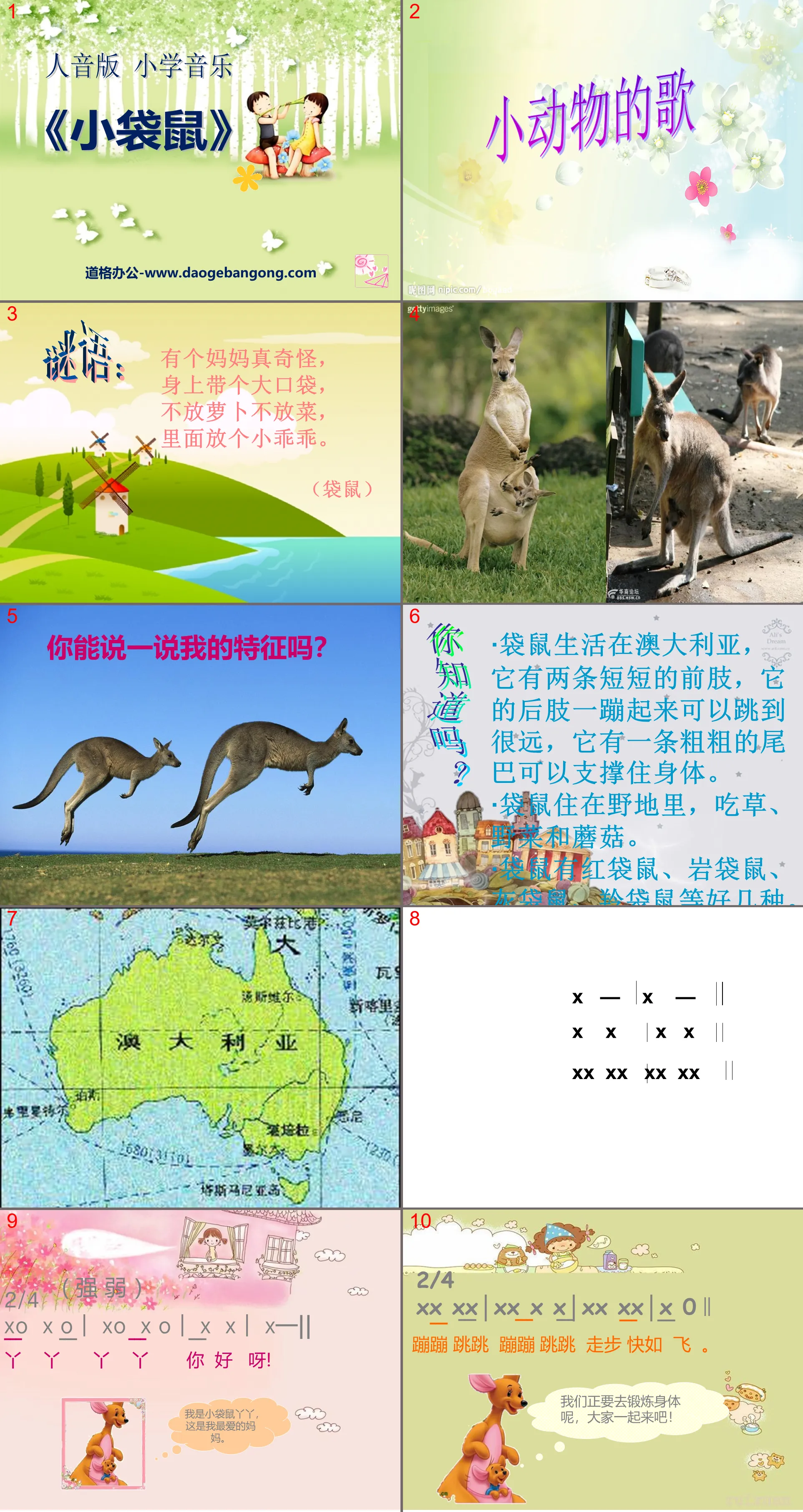 "Little Kangaroo" PPT courseware 3