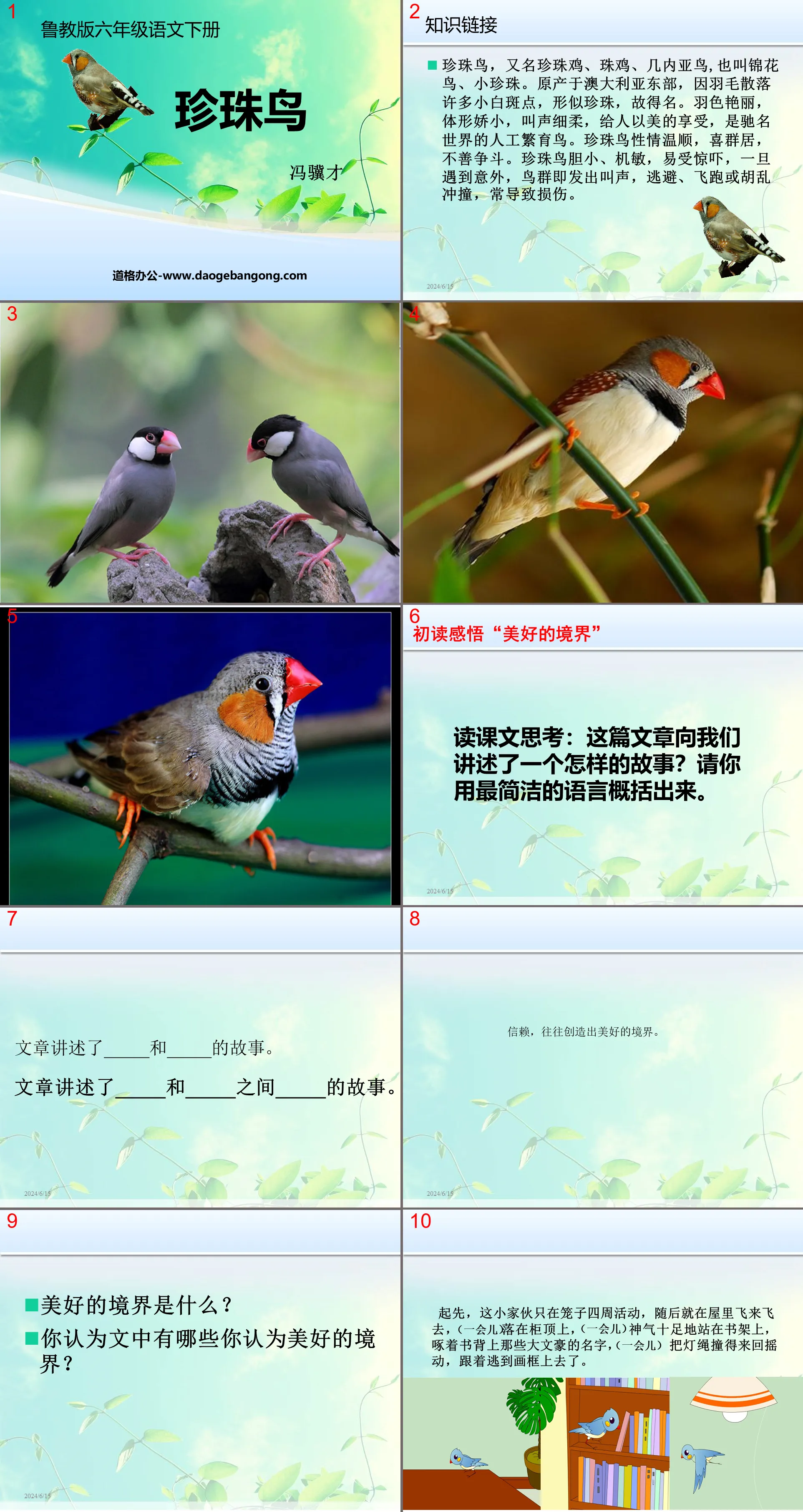 《珍珠鳥》PPT課件14