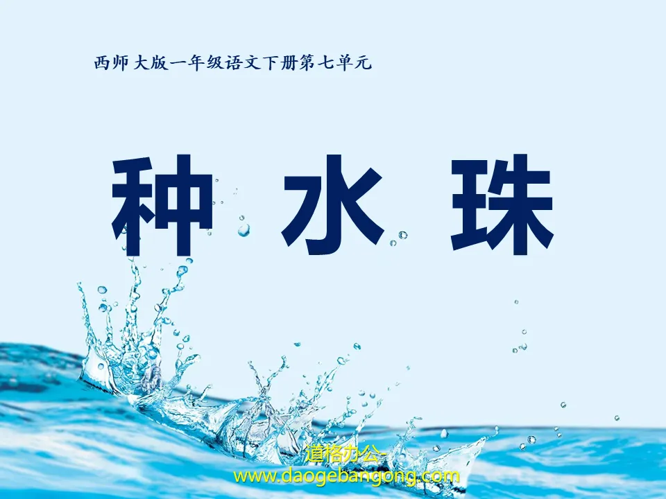 《种水珠》PPT课件