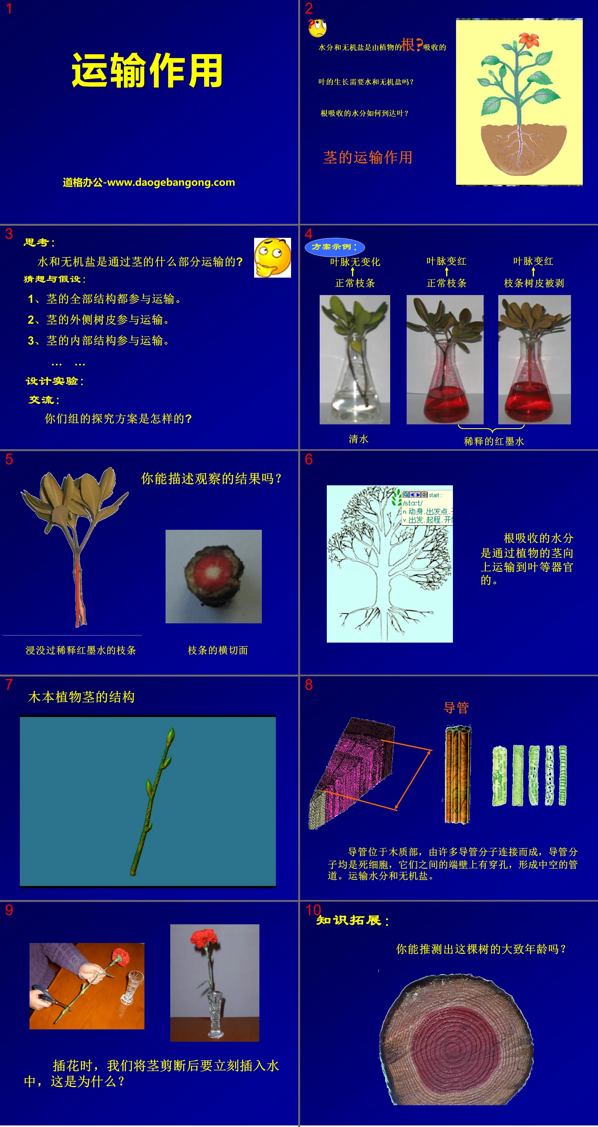 《運輸作用》PPT下載