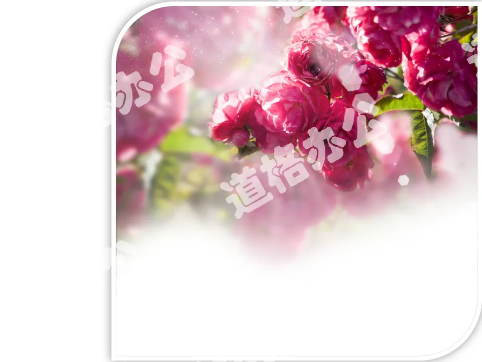 Red flower sea PPT background picture