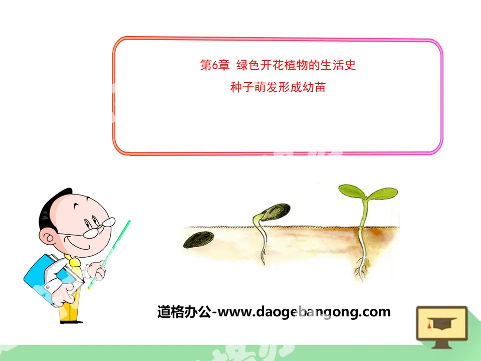 "Seed Germination and Formation of Seedlings" PPT courseware