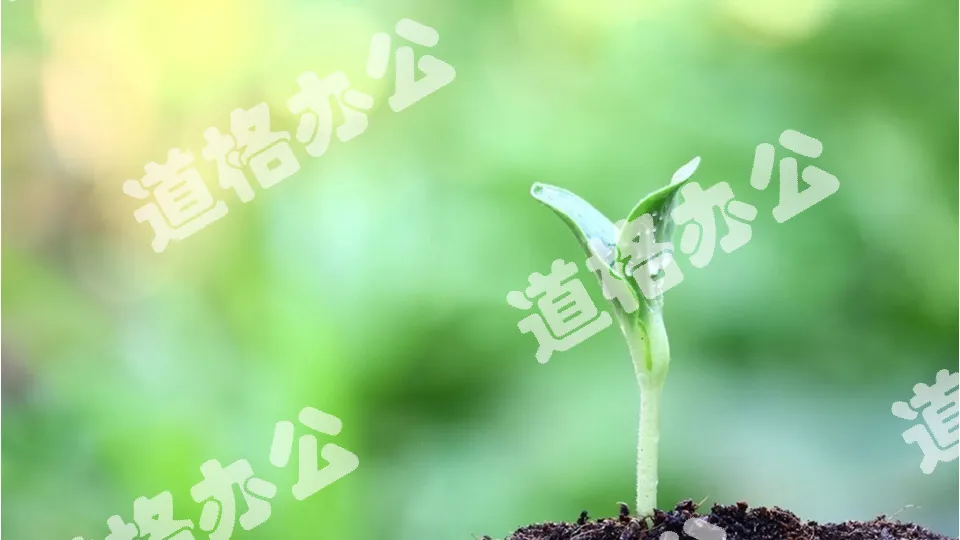 六張植物嫩芽PPT背景圖片
