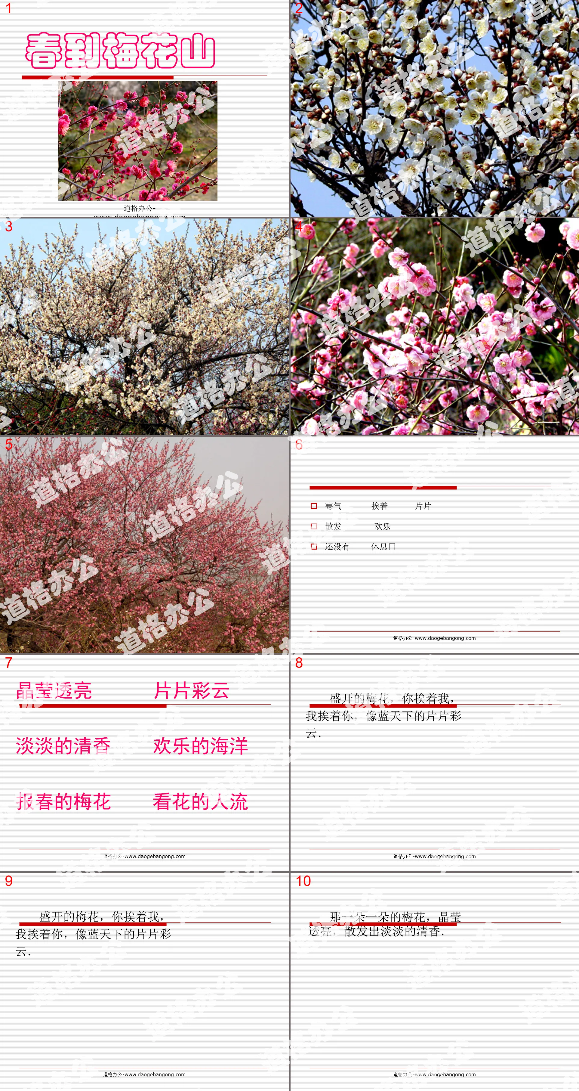 "Spring Arrives at Plum Blossom Mountain" PPT Courseware 2