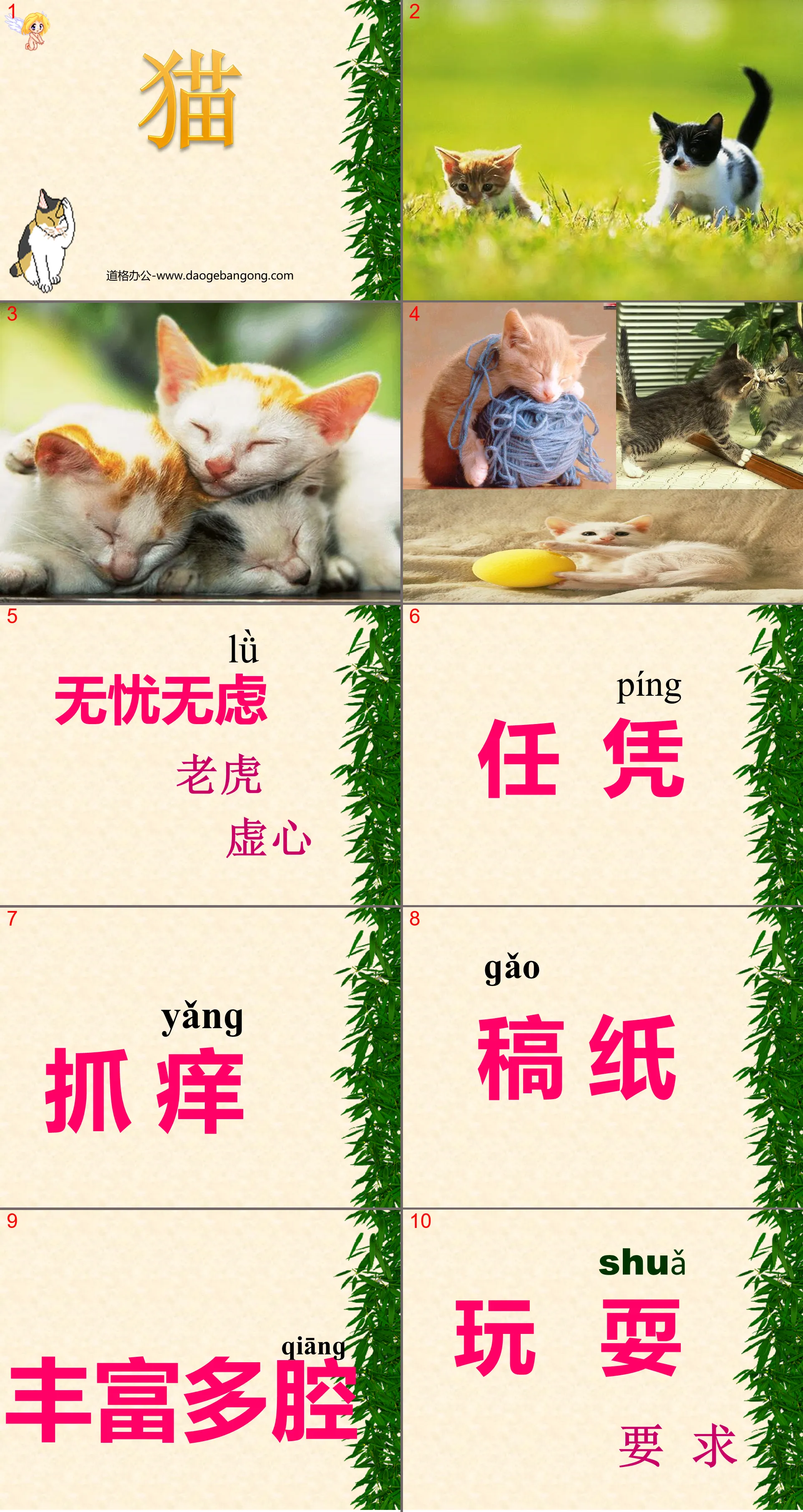 《猫》PPT课件下载2