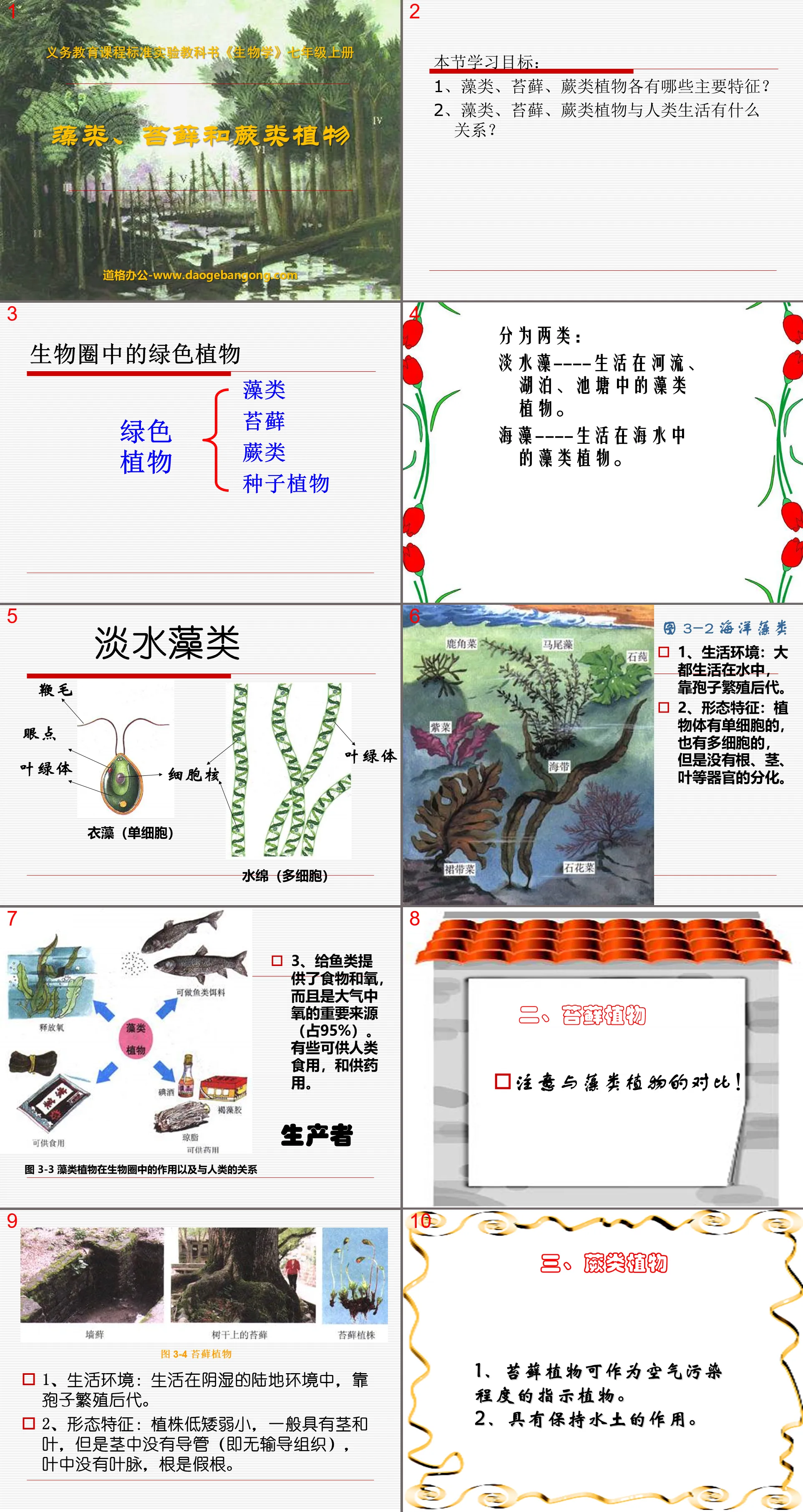 "Algues, mousses et fougères" Quelles sont les plantes vertes du didacticiel PPT de la biosphère 2