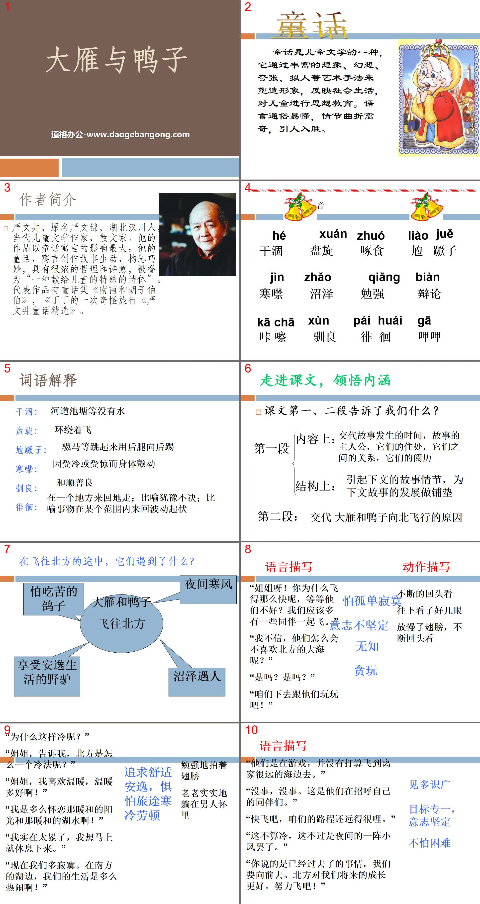 《大雁与鸭子》PPT
