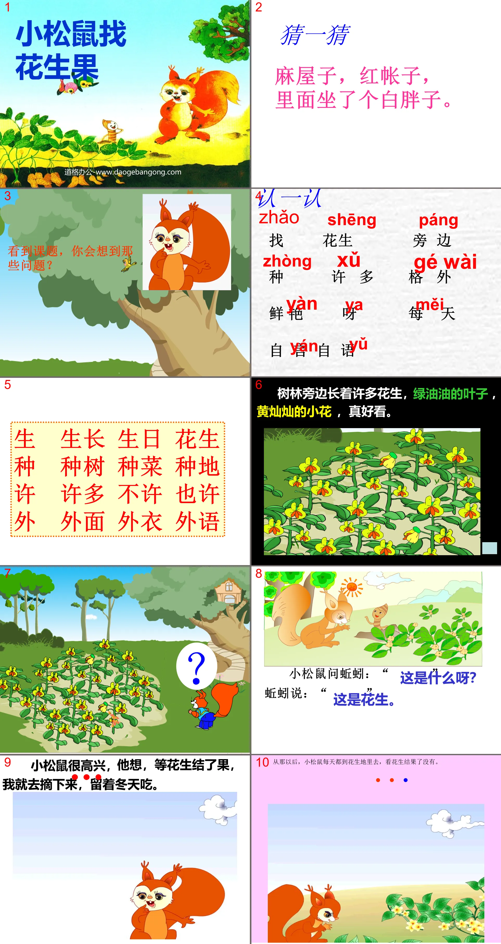 "Little Squirrel Looking for Peanuts" PPT Courseware 5