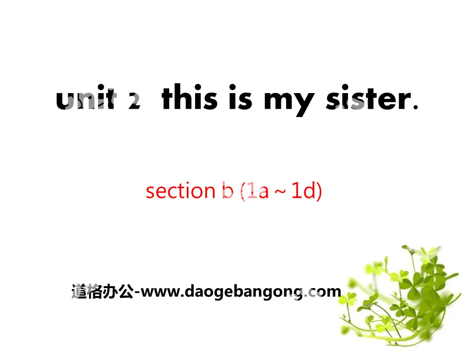 "This is my sister" PPT courseware 11