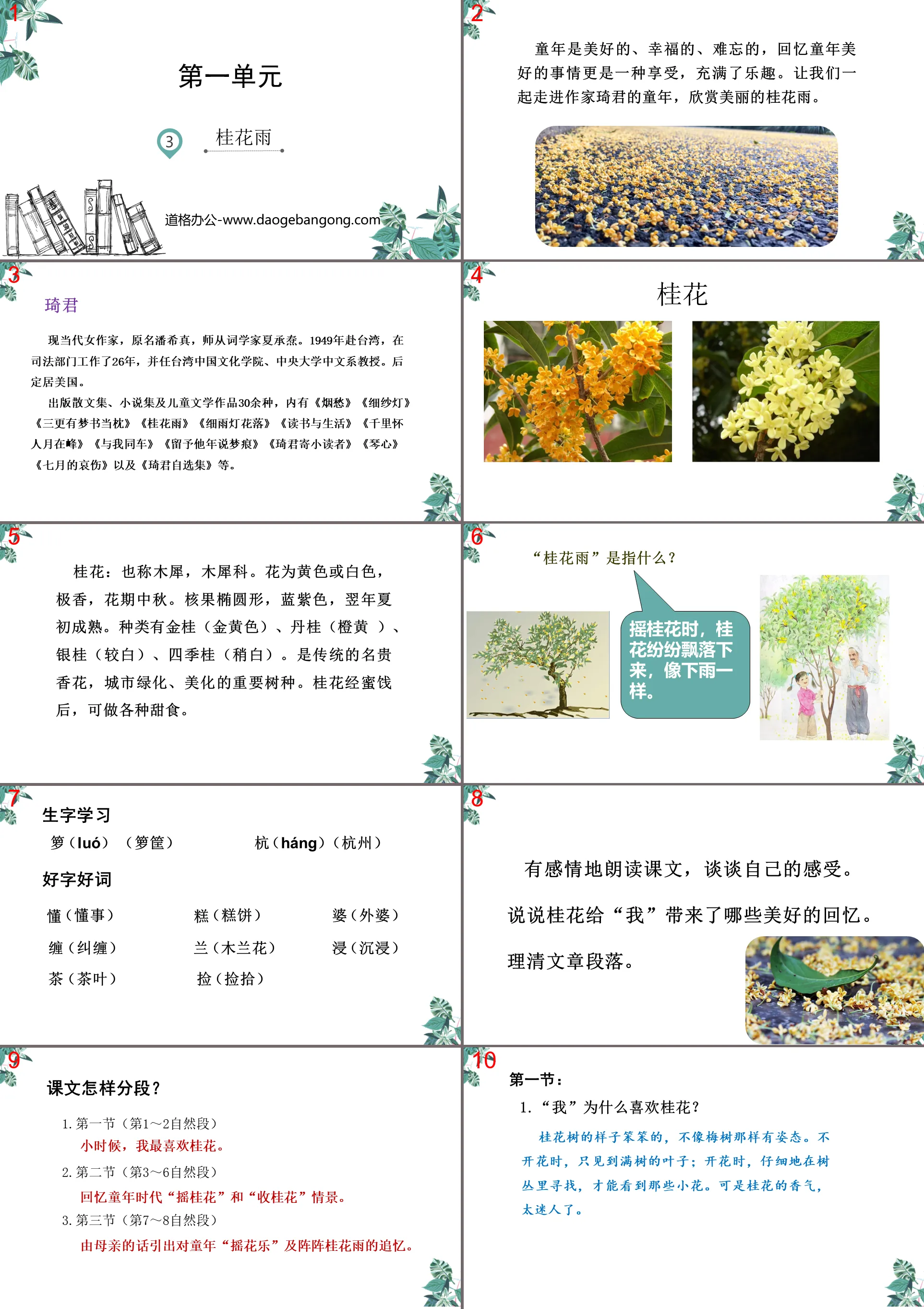 Didacticiel de qualité PPT "Osmanthus Rain"