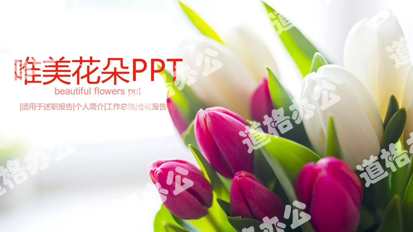Beautiful tulip flower background general PPT template free download