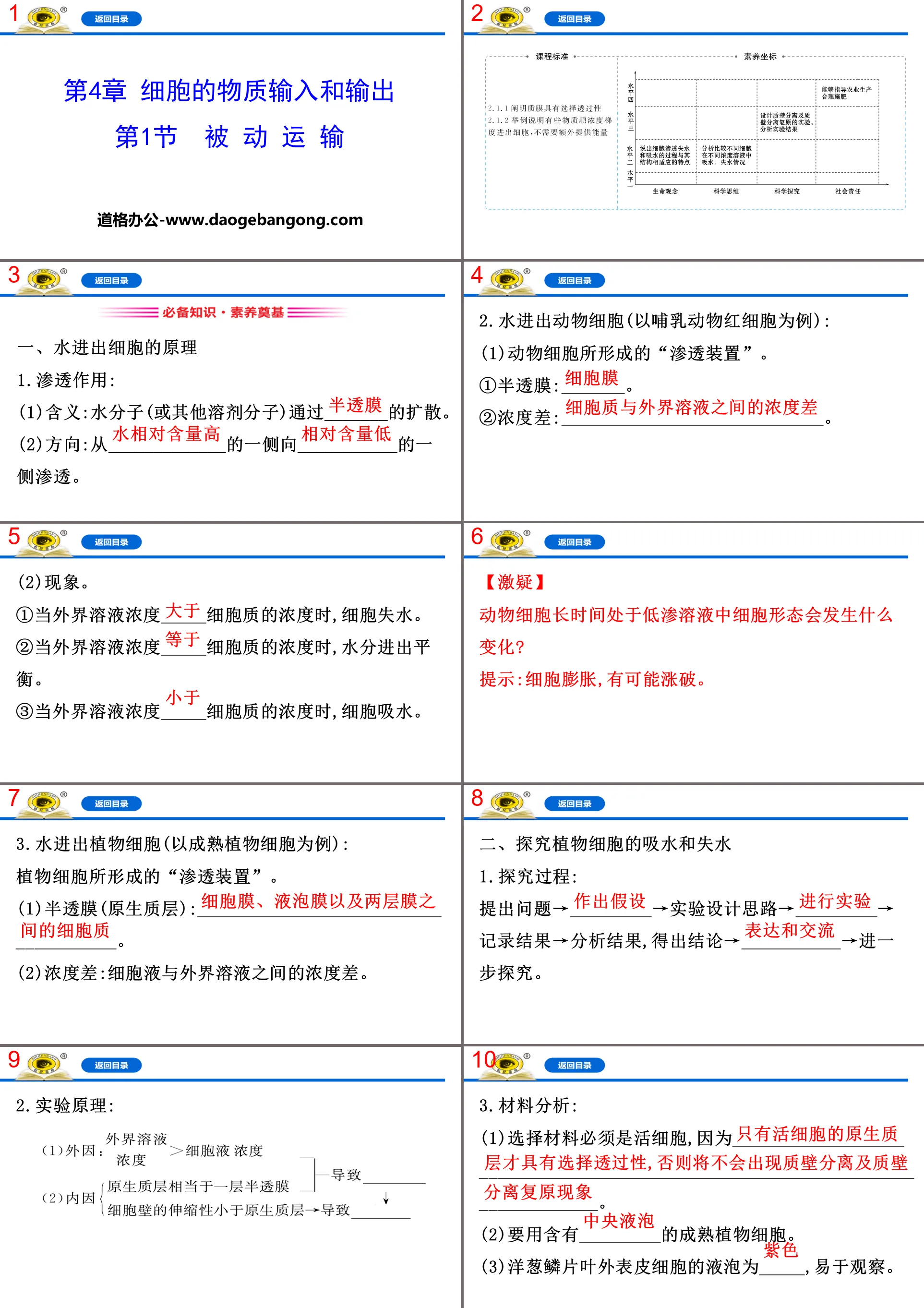 《被動運輸》細胞的物質輸入與輸出PPT