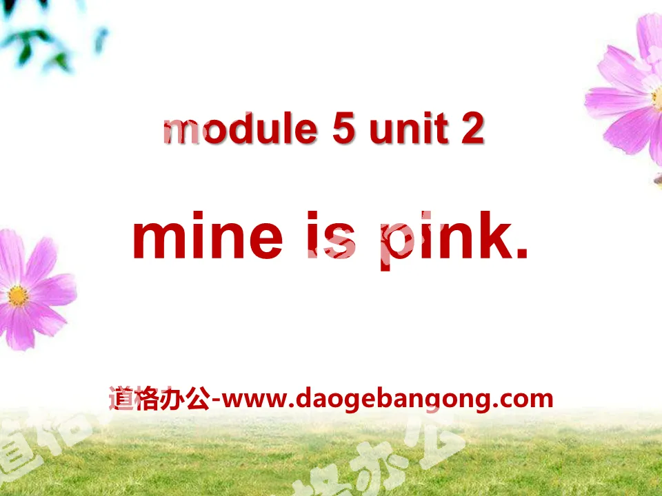 "Mine is pink" PPT courseware 3