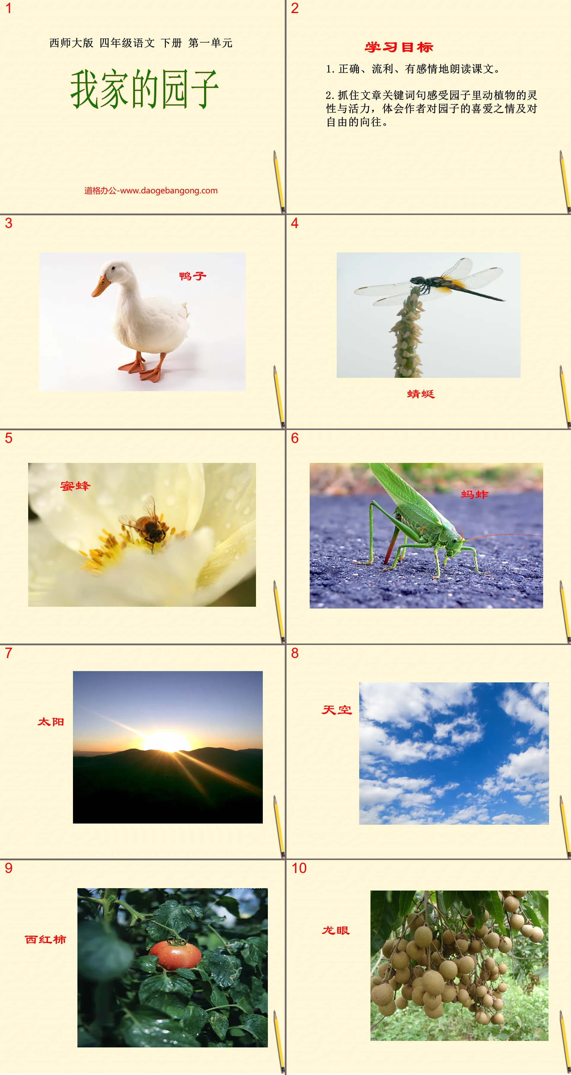 "My Garden" PPT Courseware 2