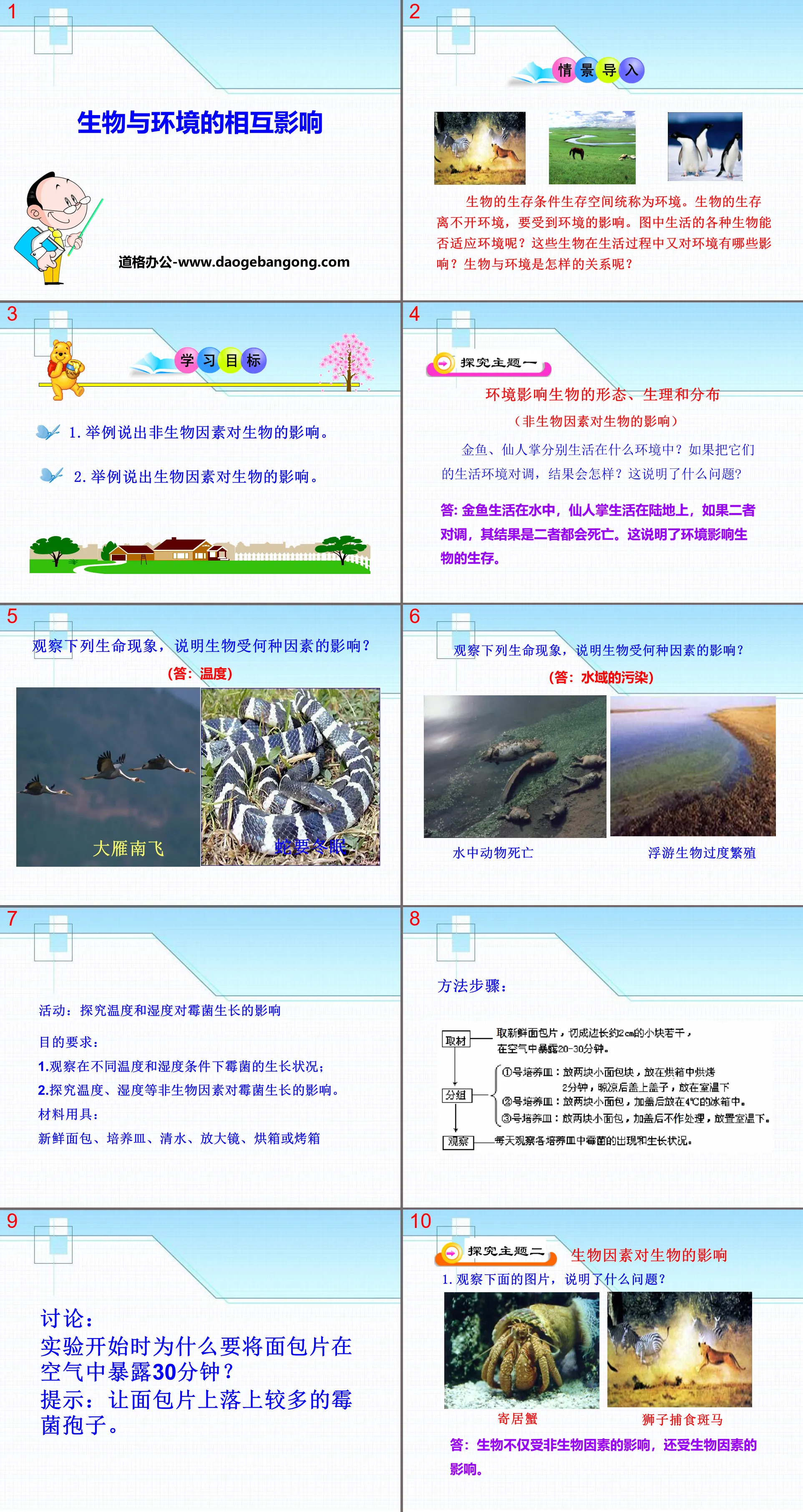 《生物與環境的相互影響》PPT