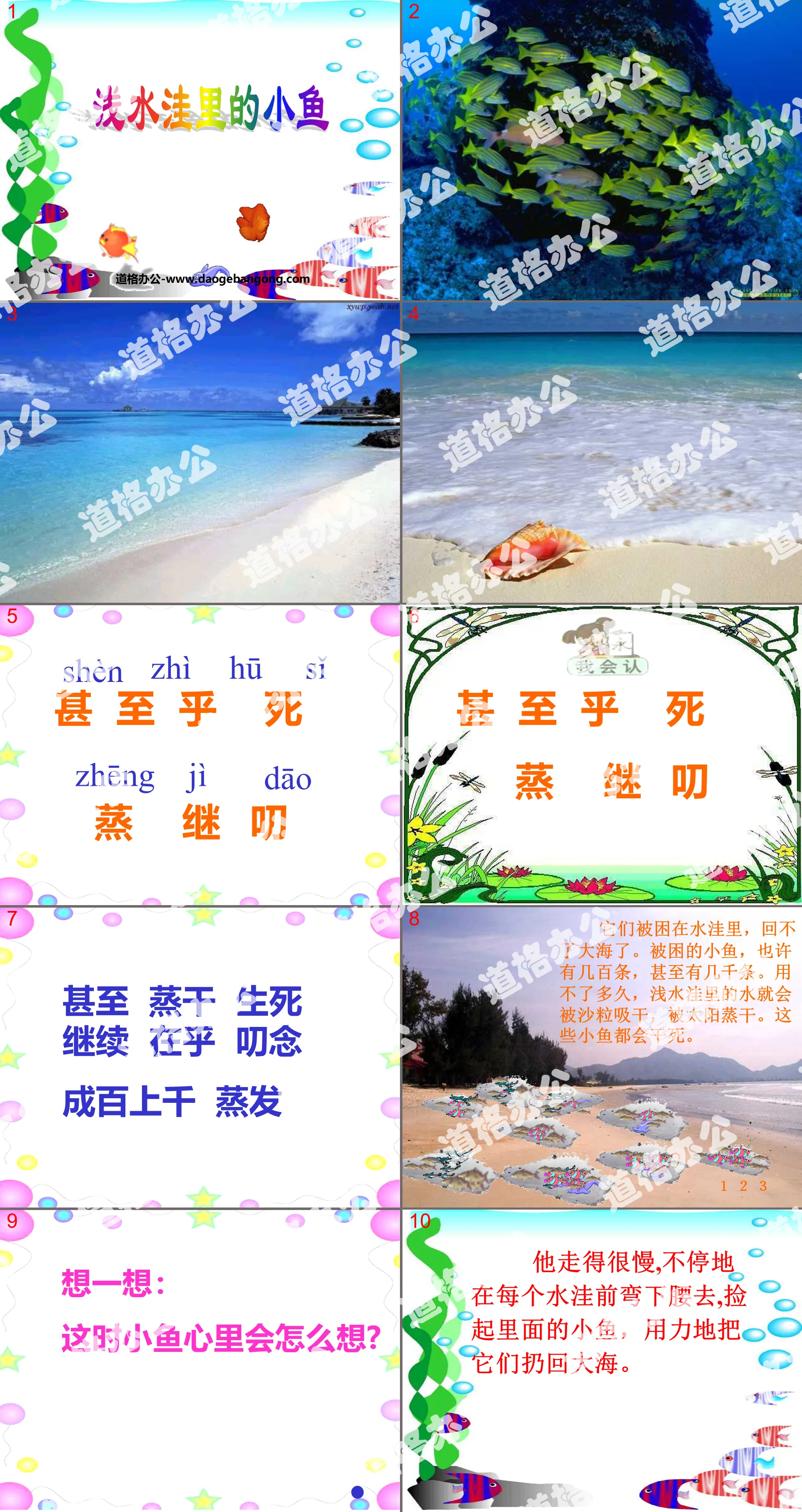 《 浅水洼里的小鱼 》PPT