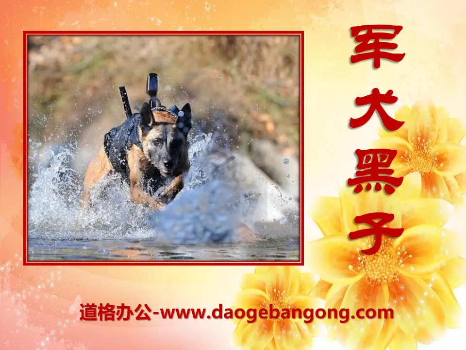 "Chien militaire Heizi" Didacticiel PPT 4