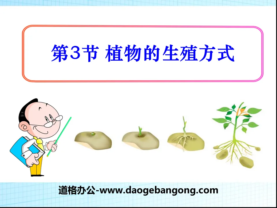 《植物的生殖方式》PPT