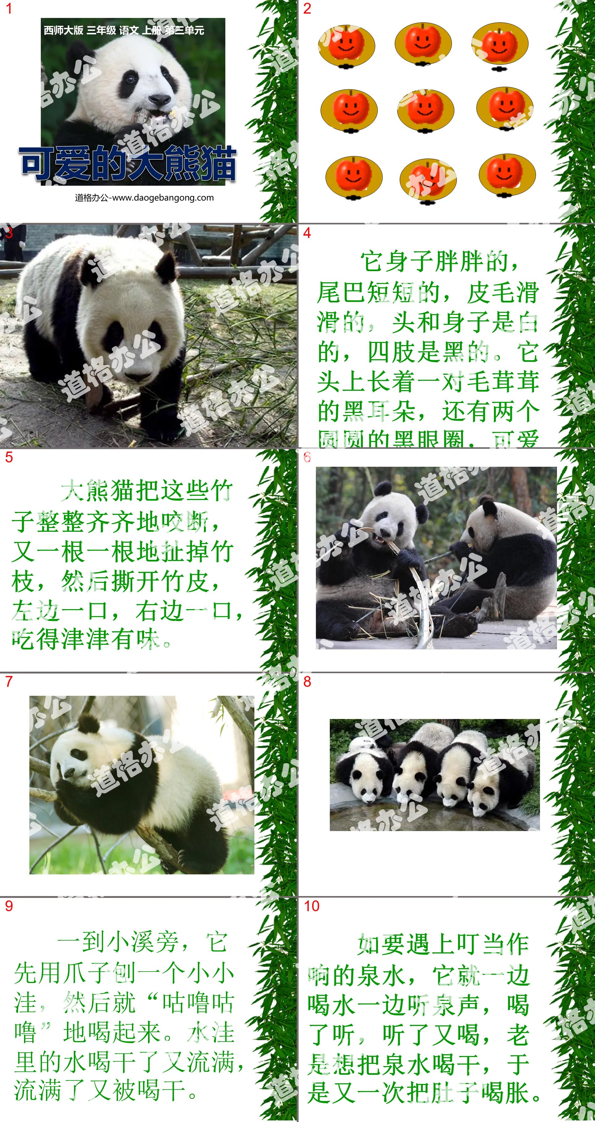 "Cute Giant Panda" PPT courseware 2