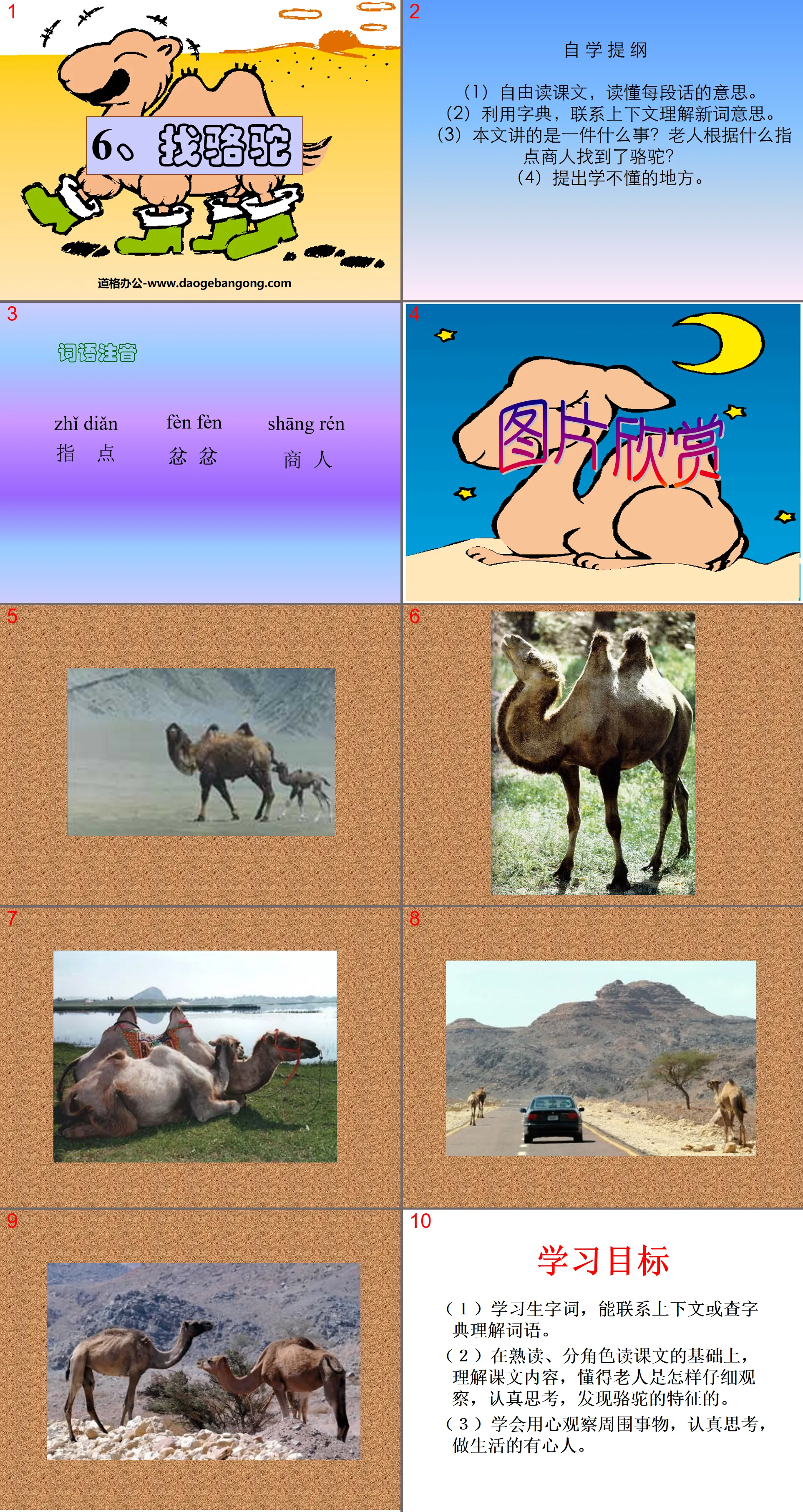 "Looking for Camels" PPT courseware