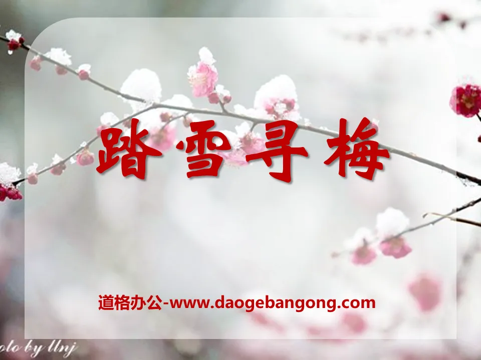 "Walking in the Snow to Seek Plum Blossoms" PPT Courseware 5