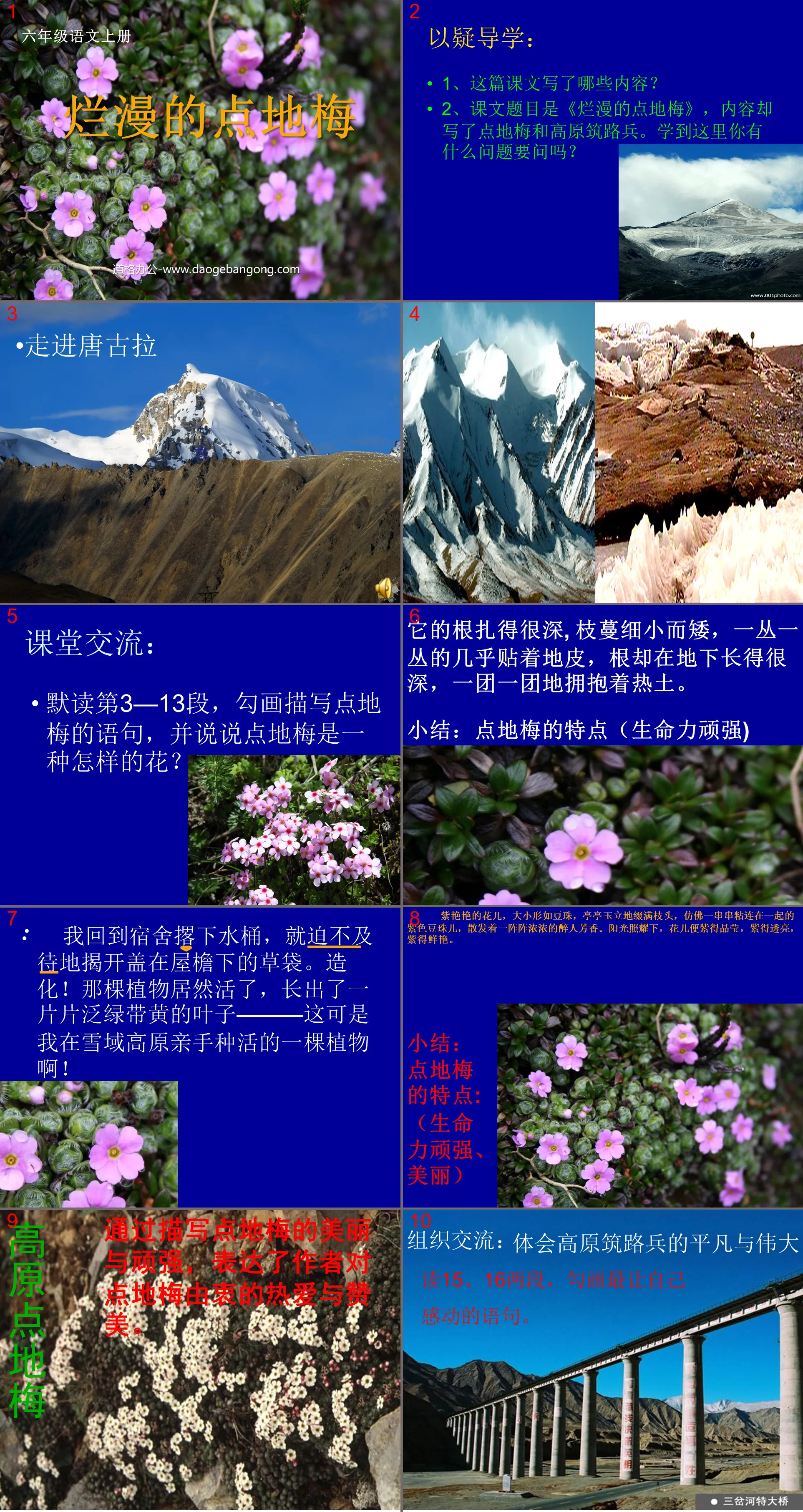 "Romantic Plum Blossoms" PPT Courseware 2