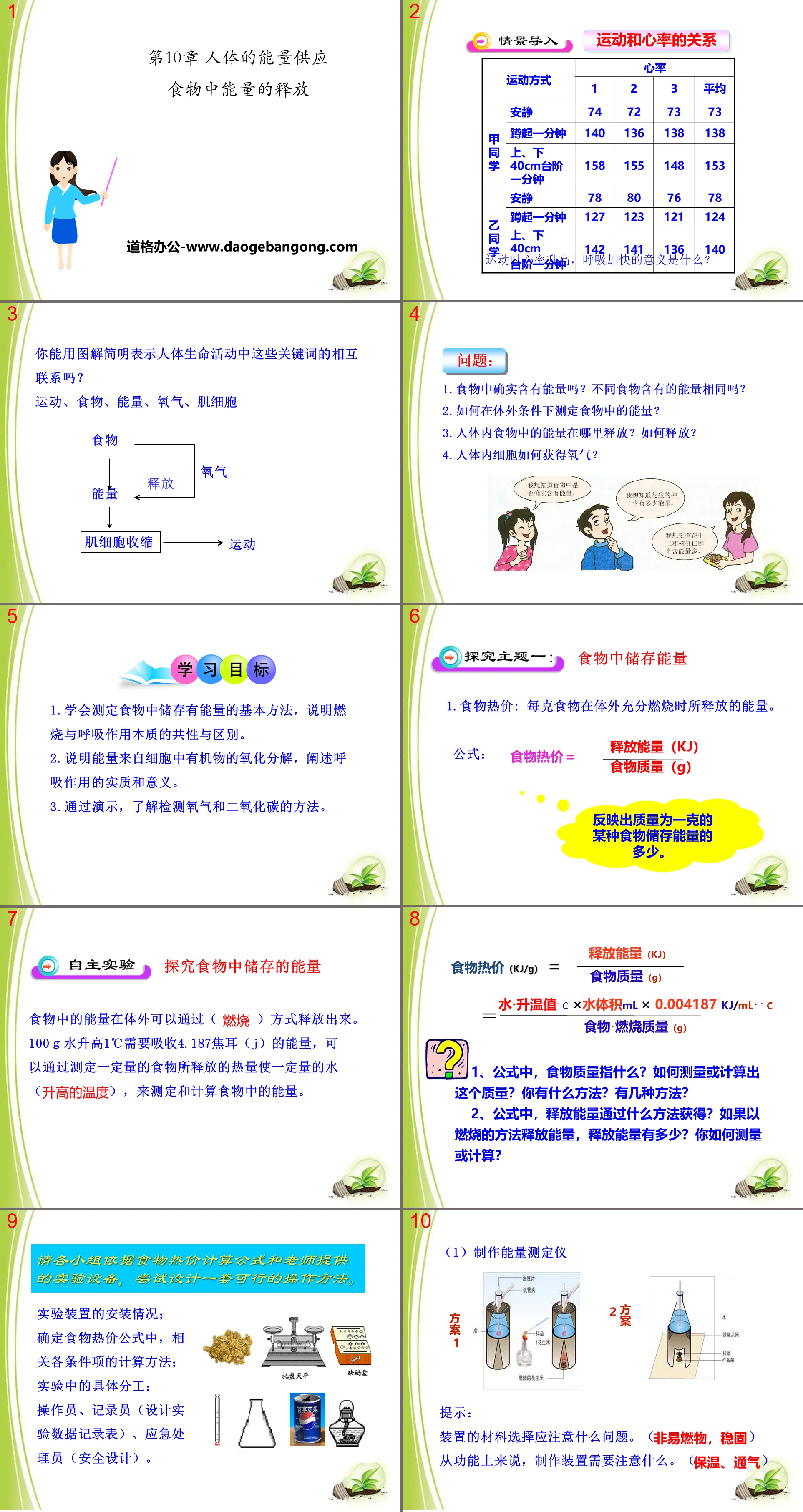 《食物中能量的释放》PPT下载
