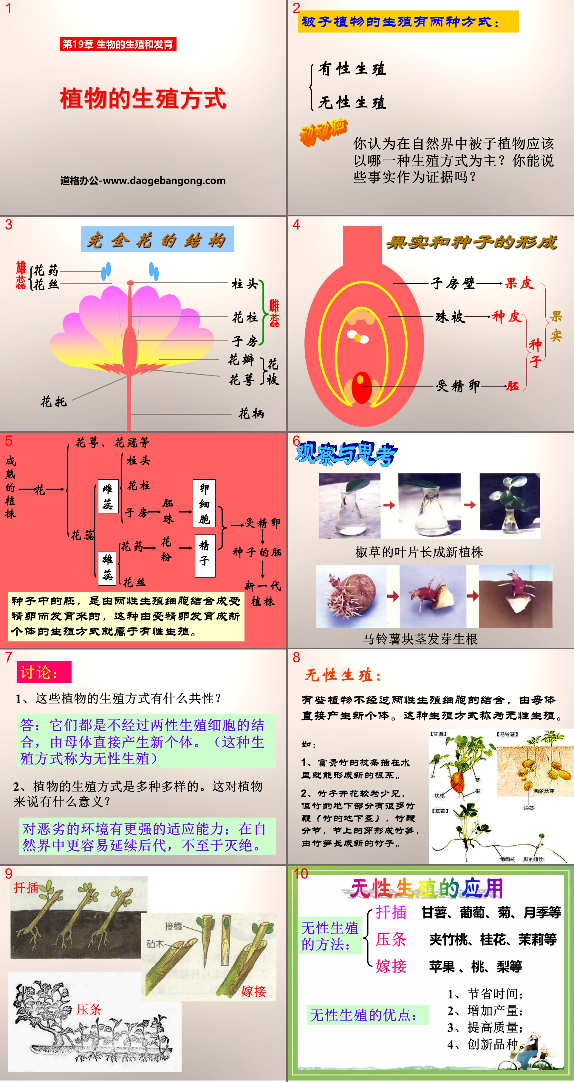 《植物的生殖方式》PPT课件