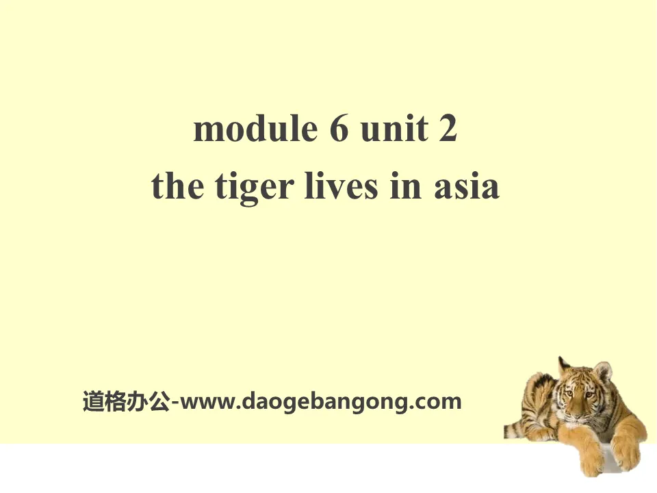 "The tiger lives in Asia" PPT courseware