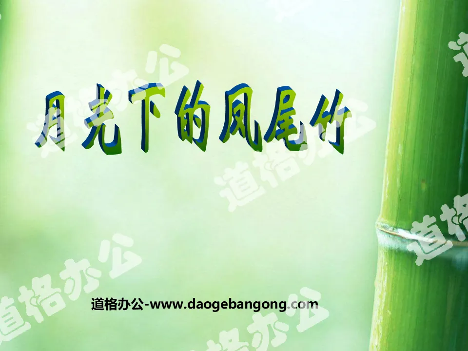 "Windtail Bamboo Under the Moonlight" PPT courseware 2