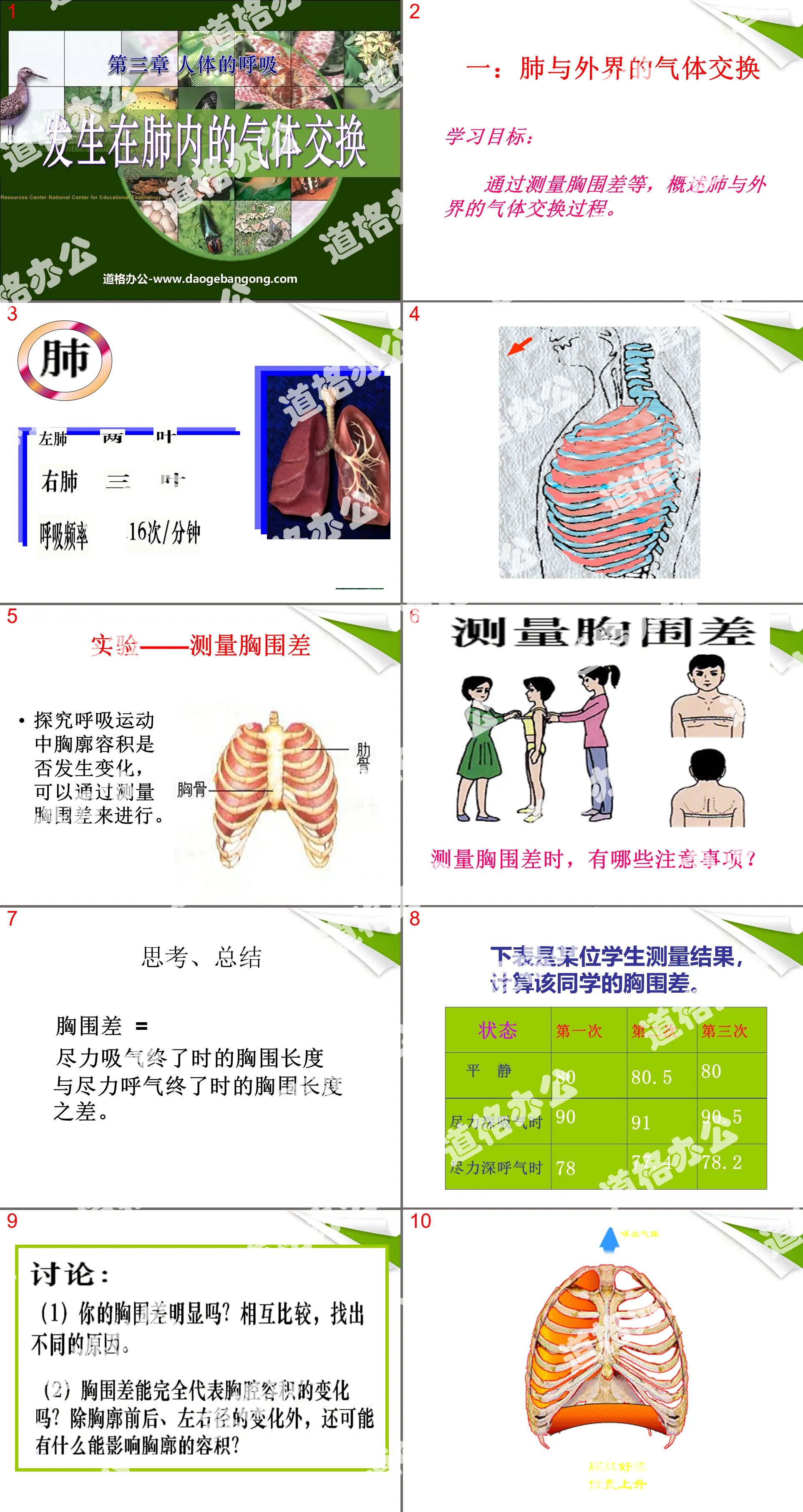 "Gas Exchange Occurring in the Lungs" Human Respiration PPT Courseware 4