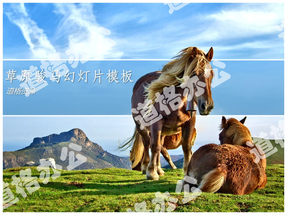 Horses on the grassland PPT template download