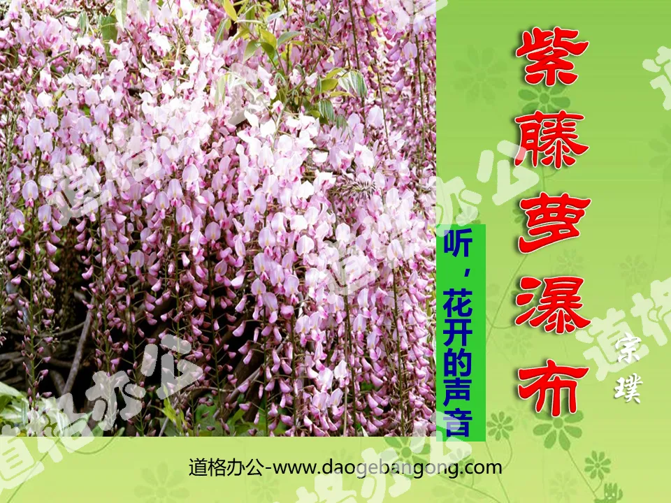 "Wisteria Waterfall" PPT courseware 5