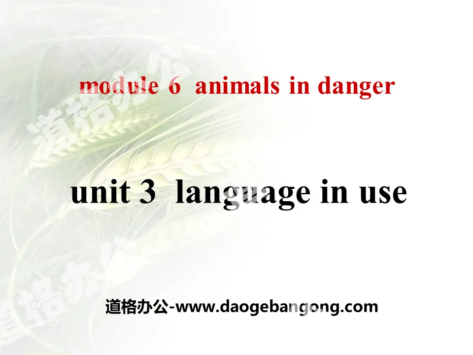 "Language in use" Animals in danger PPT courseware 2