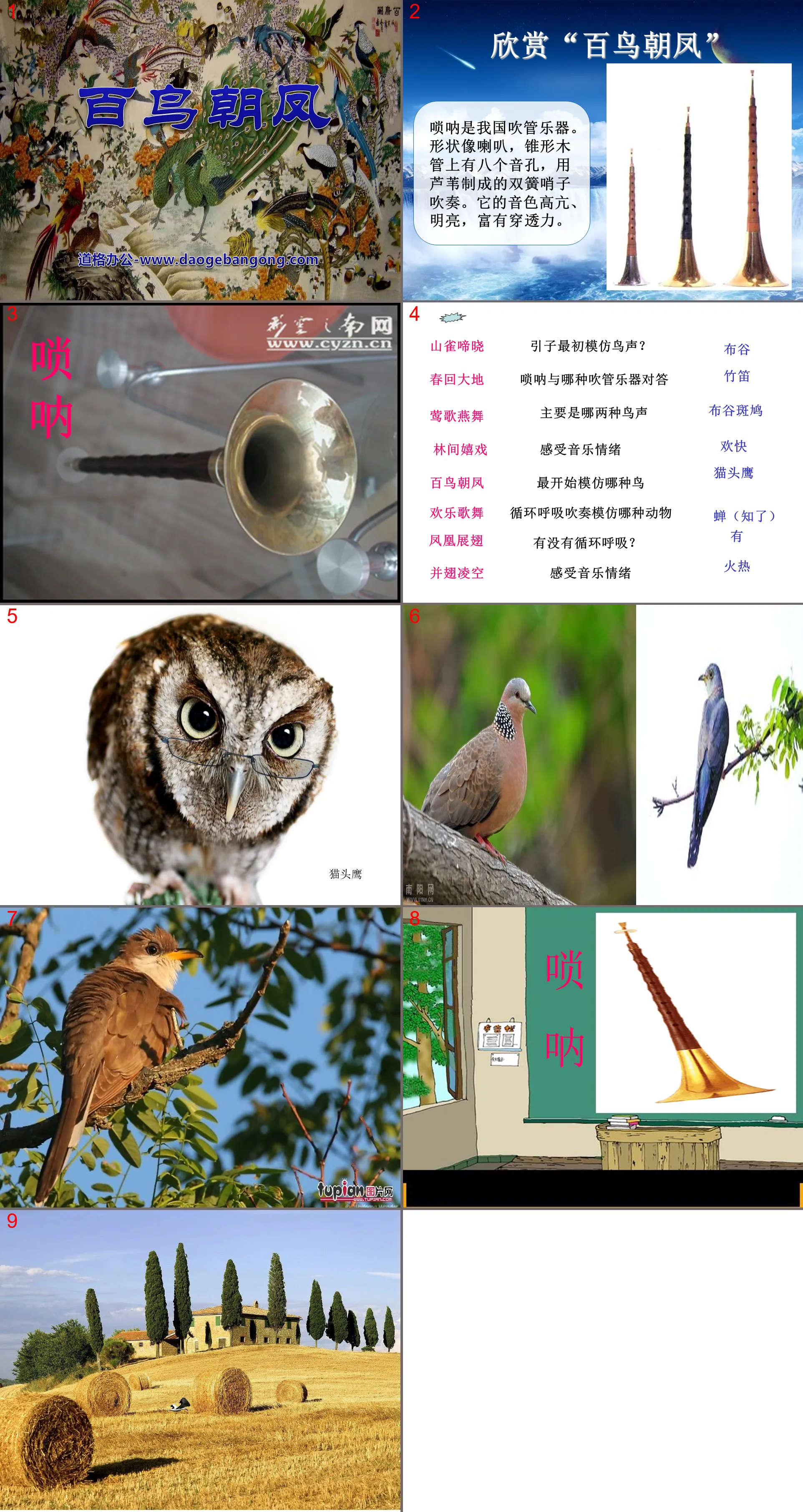 《百鳥朝鳳》PPT課件