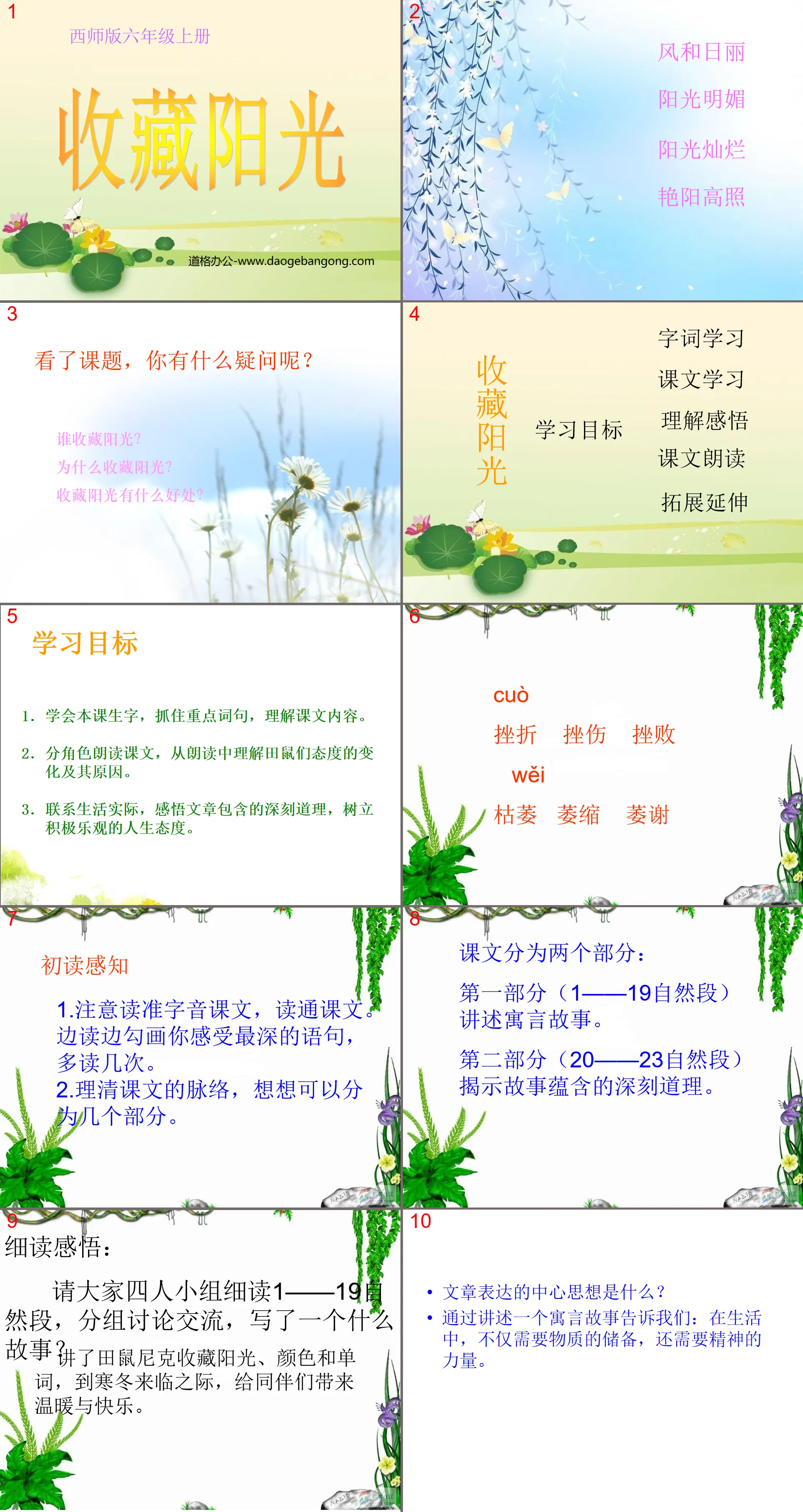 《收藏阳光》PPT课件3
