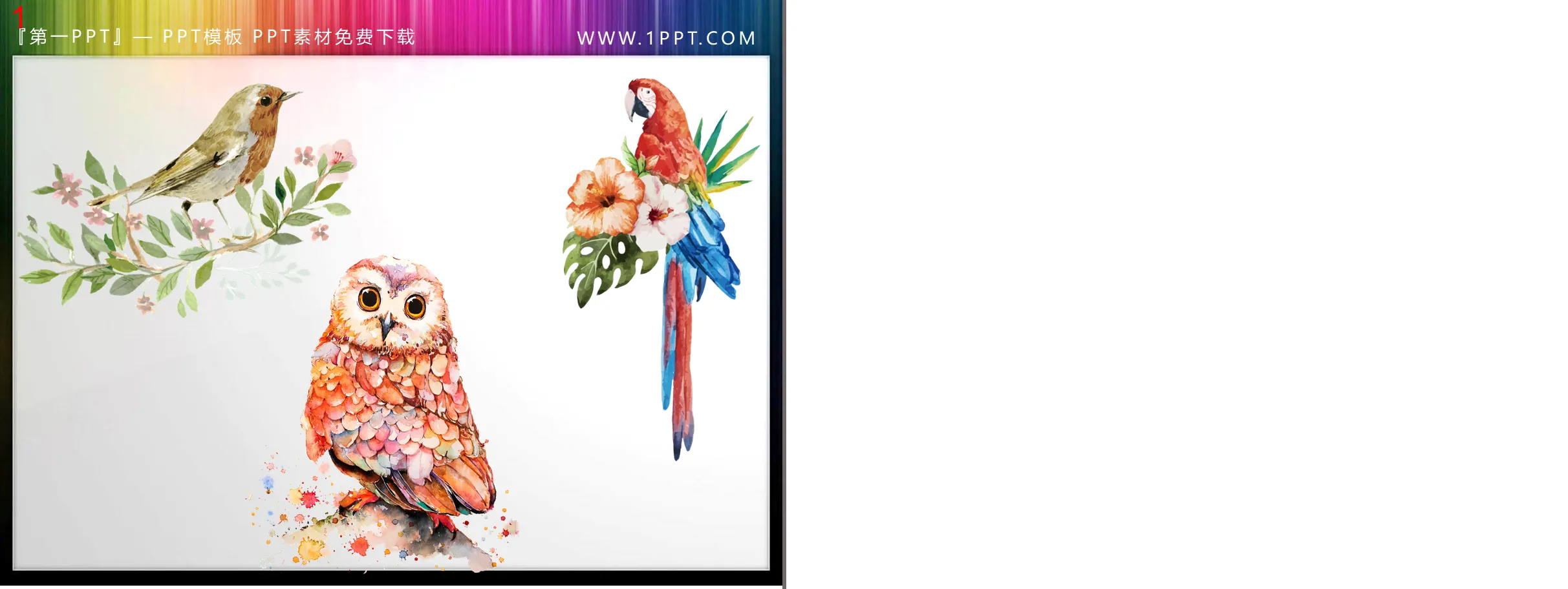 Watercolor bird owl parrot PPT material