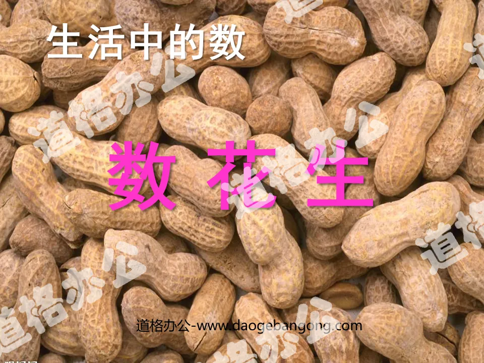 "Counting Peanuts" PPT courseware 3