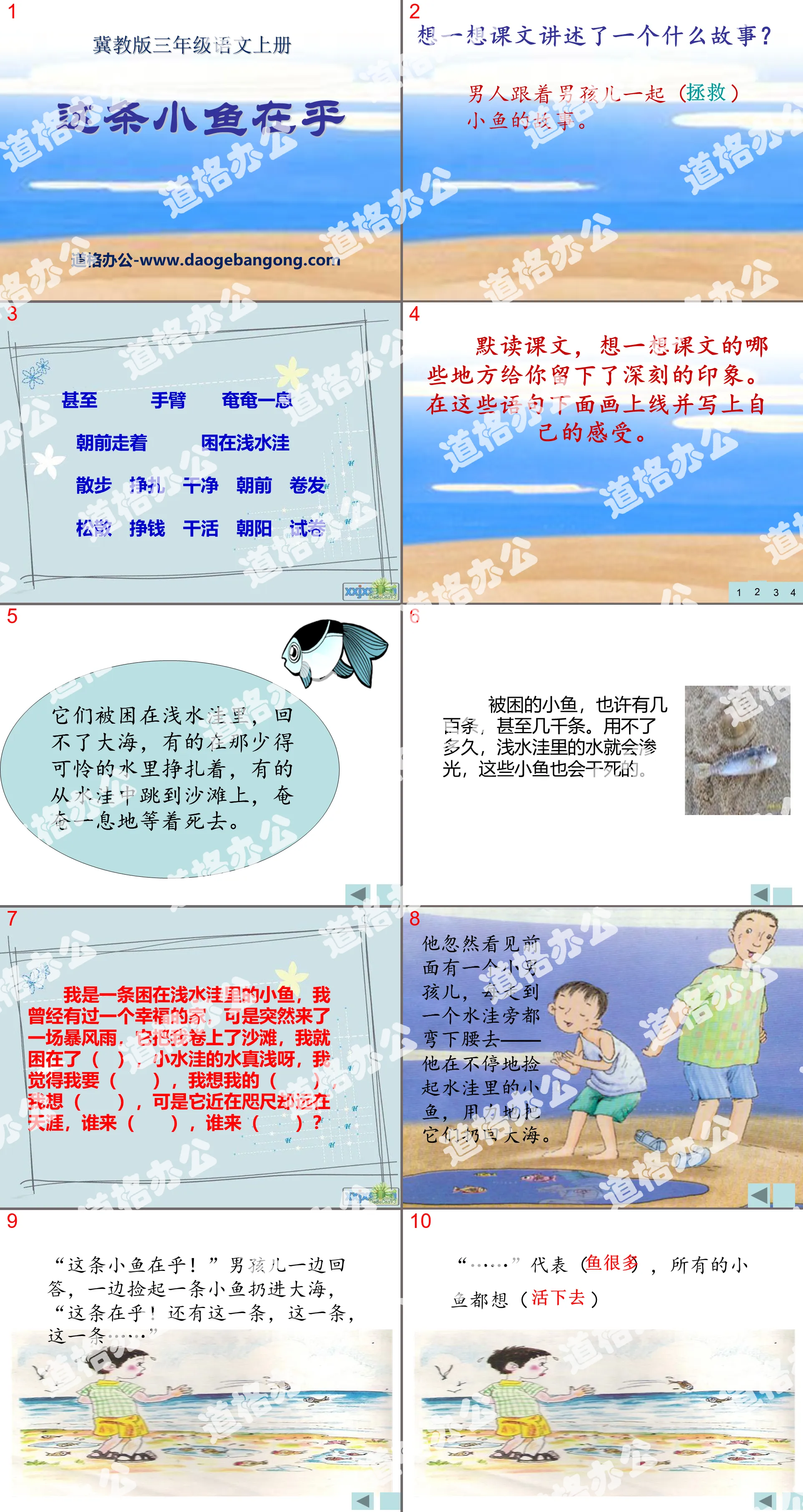 《這條小魚在乎》PPT課程8