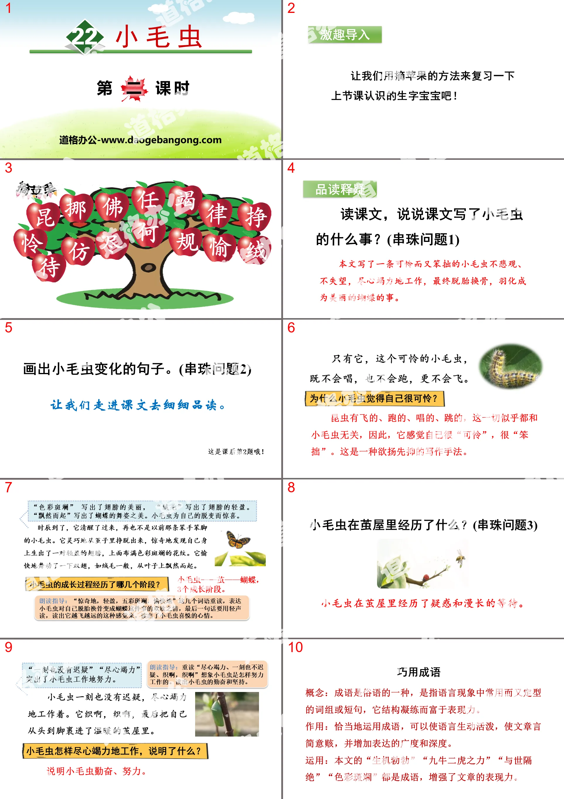 《小毛虫》PPT(第二课时)
