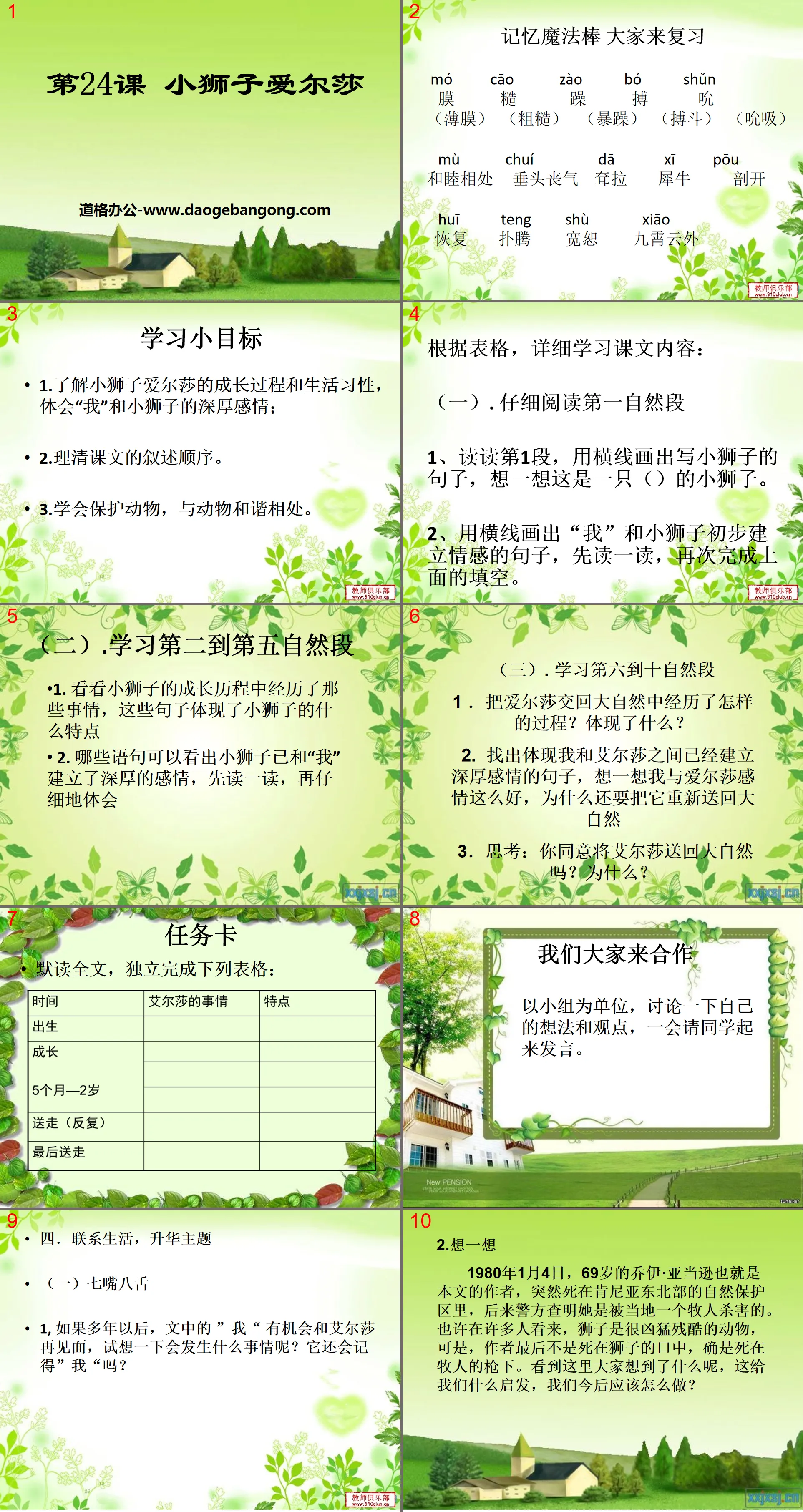 《小狮子爱尔莎》PPT课件6
