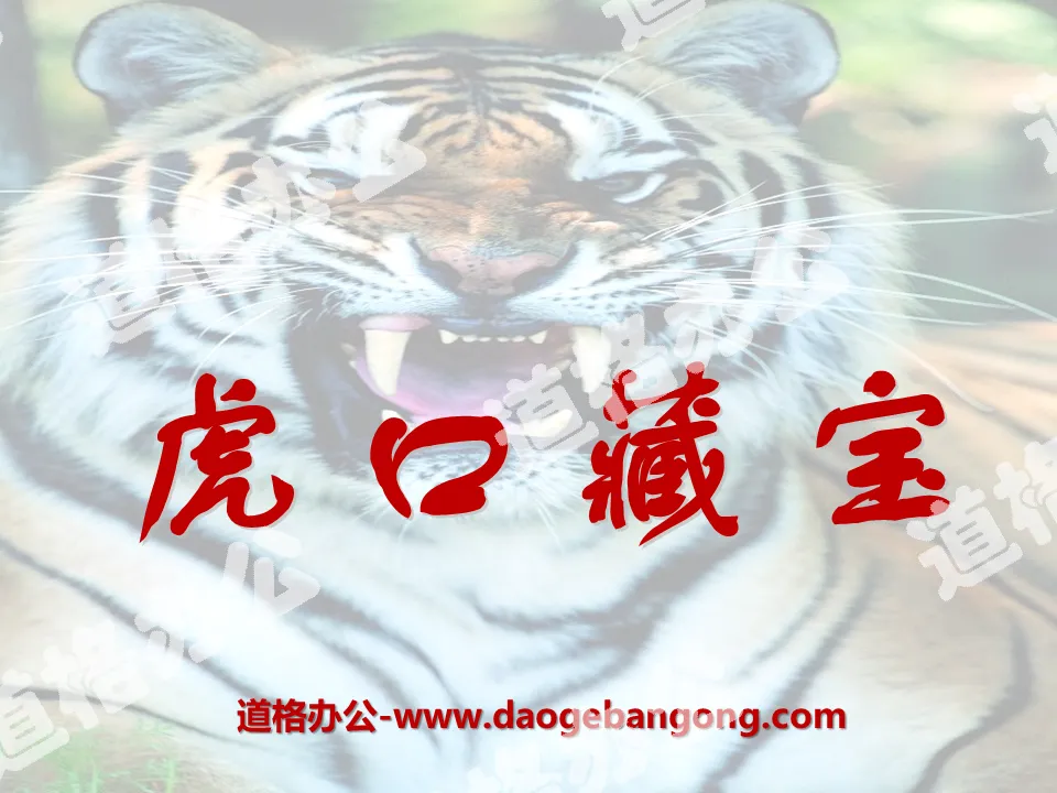 "Treasure Hidden in the Tiger's Mouth" PPT courseware