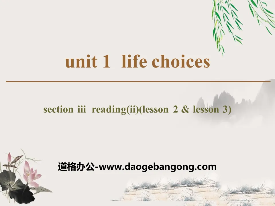 《Life Choices》Section ⅢPPT
