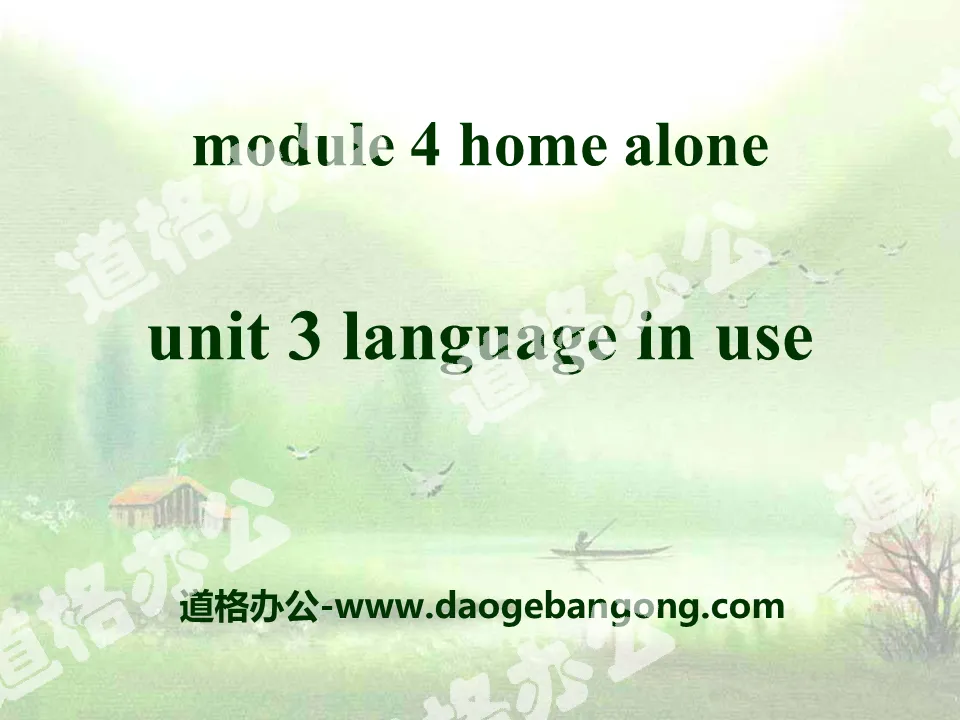 《Language in use》Home alone PPT课件

