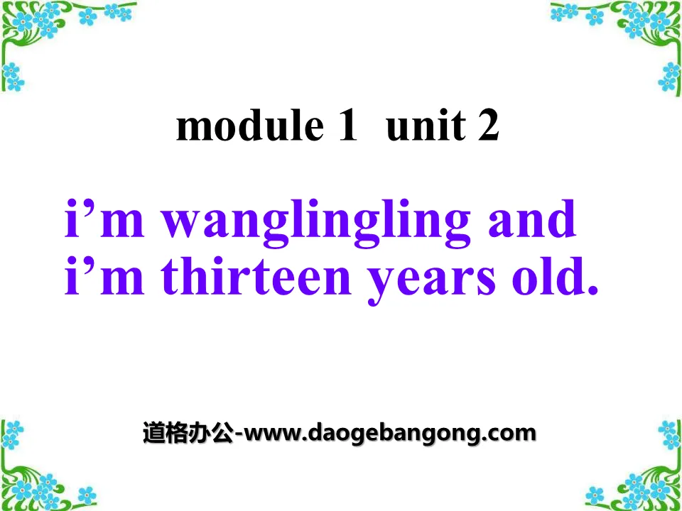 《I'm Wang Lingling and I'm thirteen years old》PPT课件4