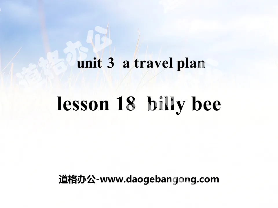 "Billy Bee" A Travel Plan PPT courseware